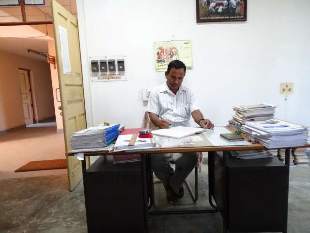 Director